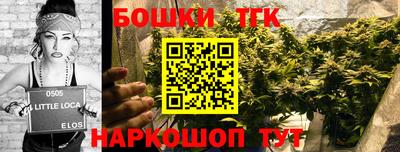 гашик Нарткала