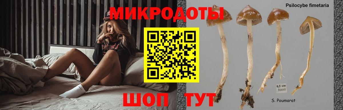 Псилоцибиновые грибы MAGIC MUSHROOMS Всеволожск