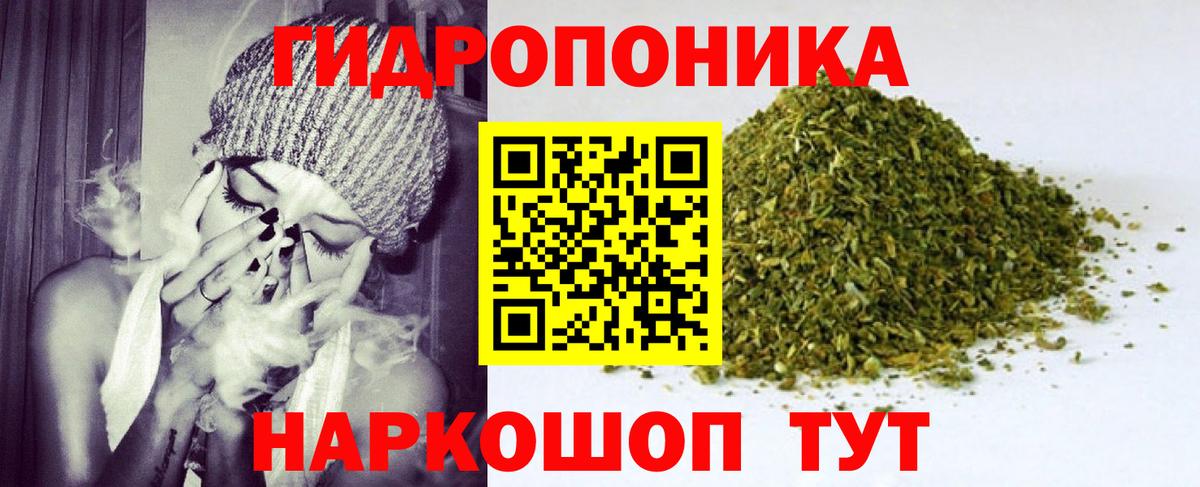 Бошки Шишки план Всеволожск